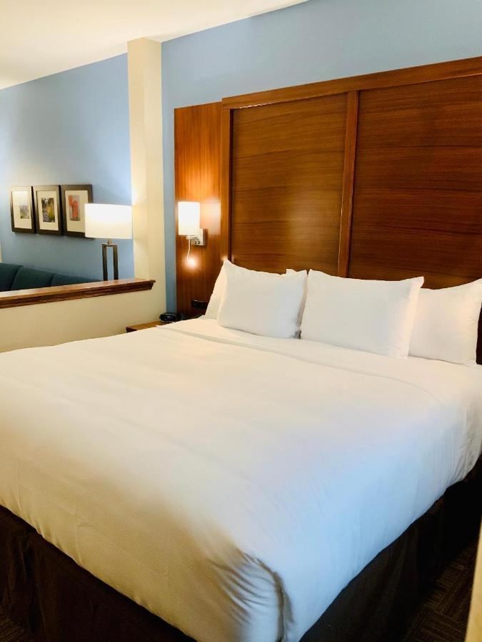 Comfort Suites Cedar Park Buitenkant foto