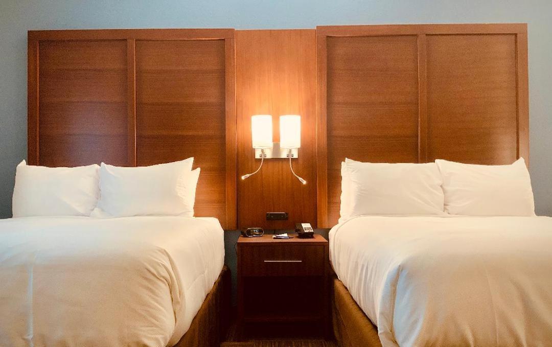 Comfort Suites Cedar Park Buitenkant foto